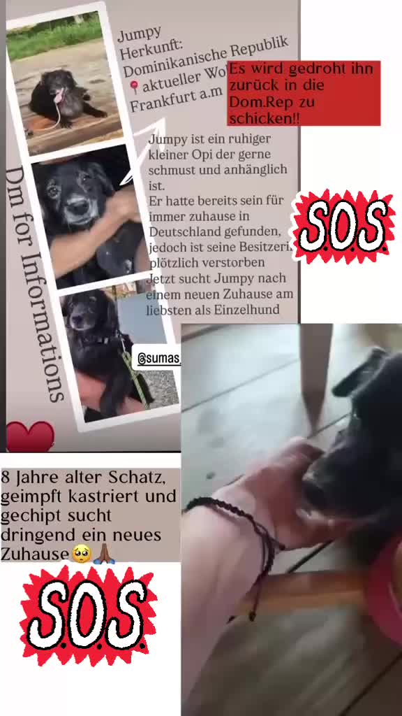 @Soulistas.Tierliebe