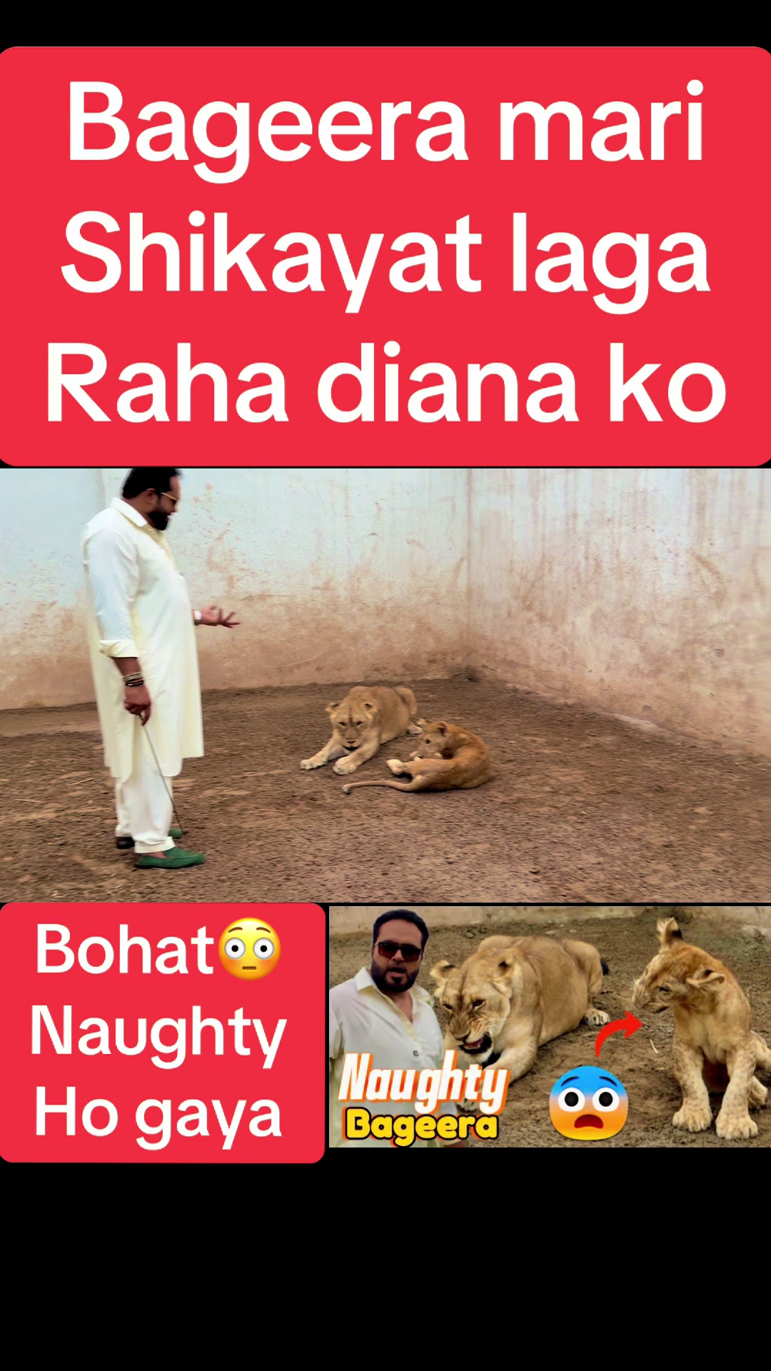 @Mian saqib