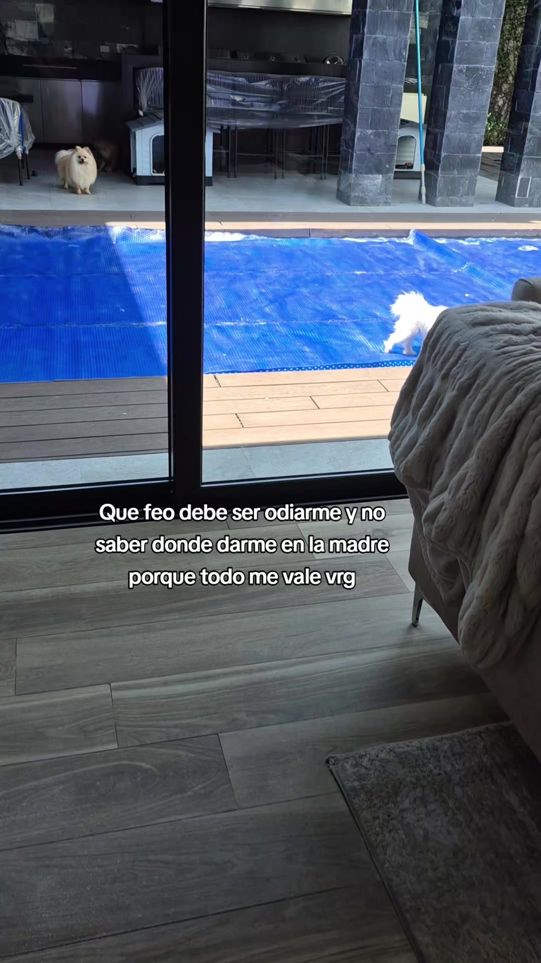 @️ Angélica Fx