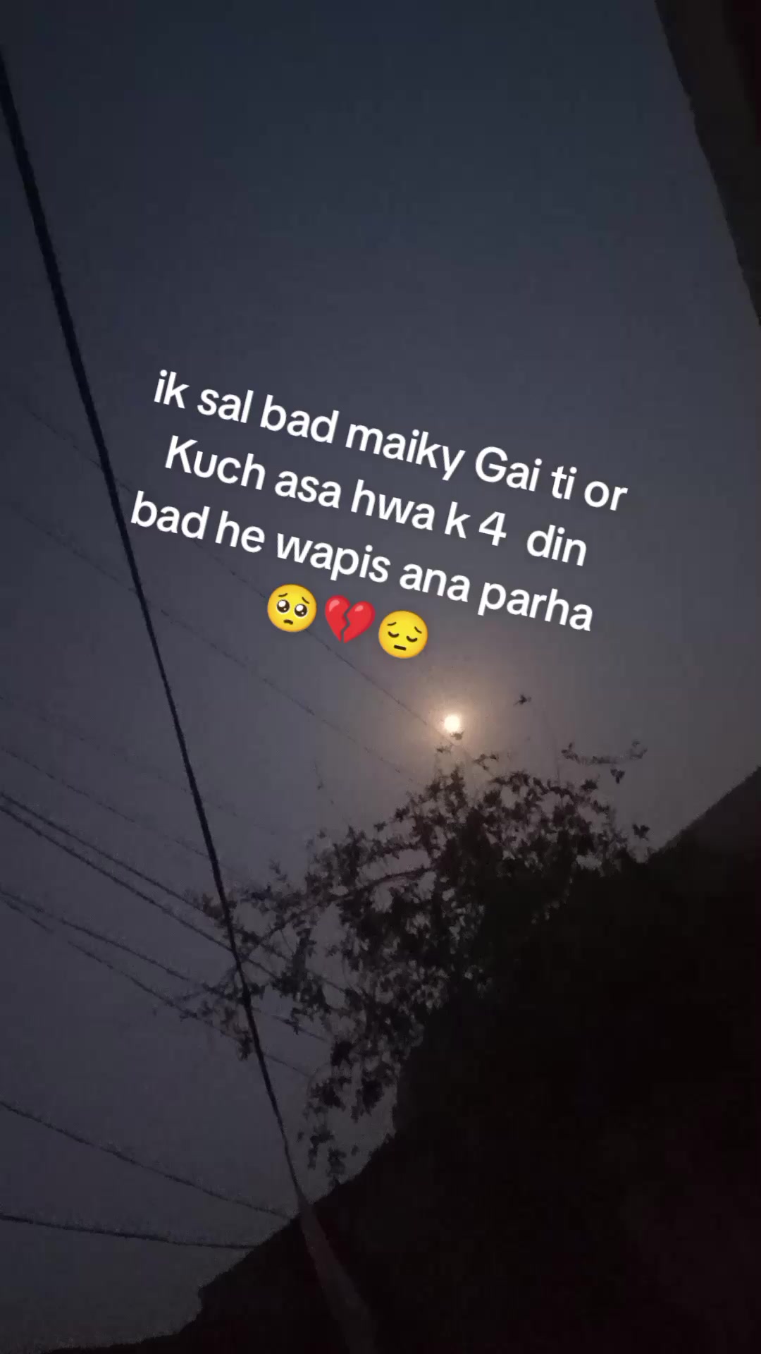 @Sindhi chokri💫🥰♥️