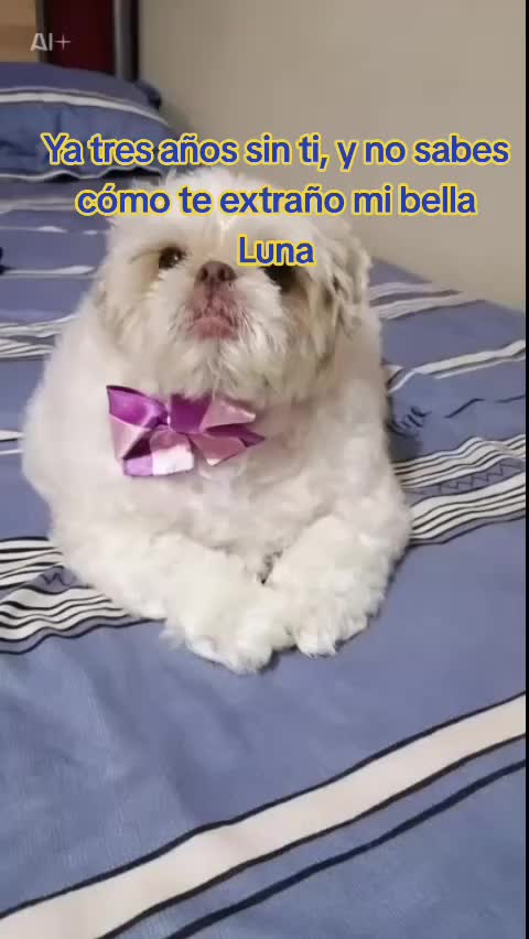 @Argelia Tello