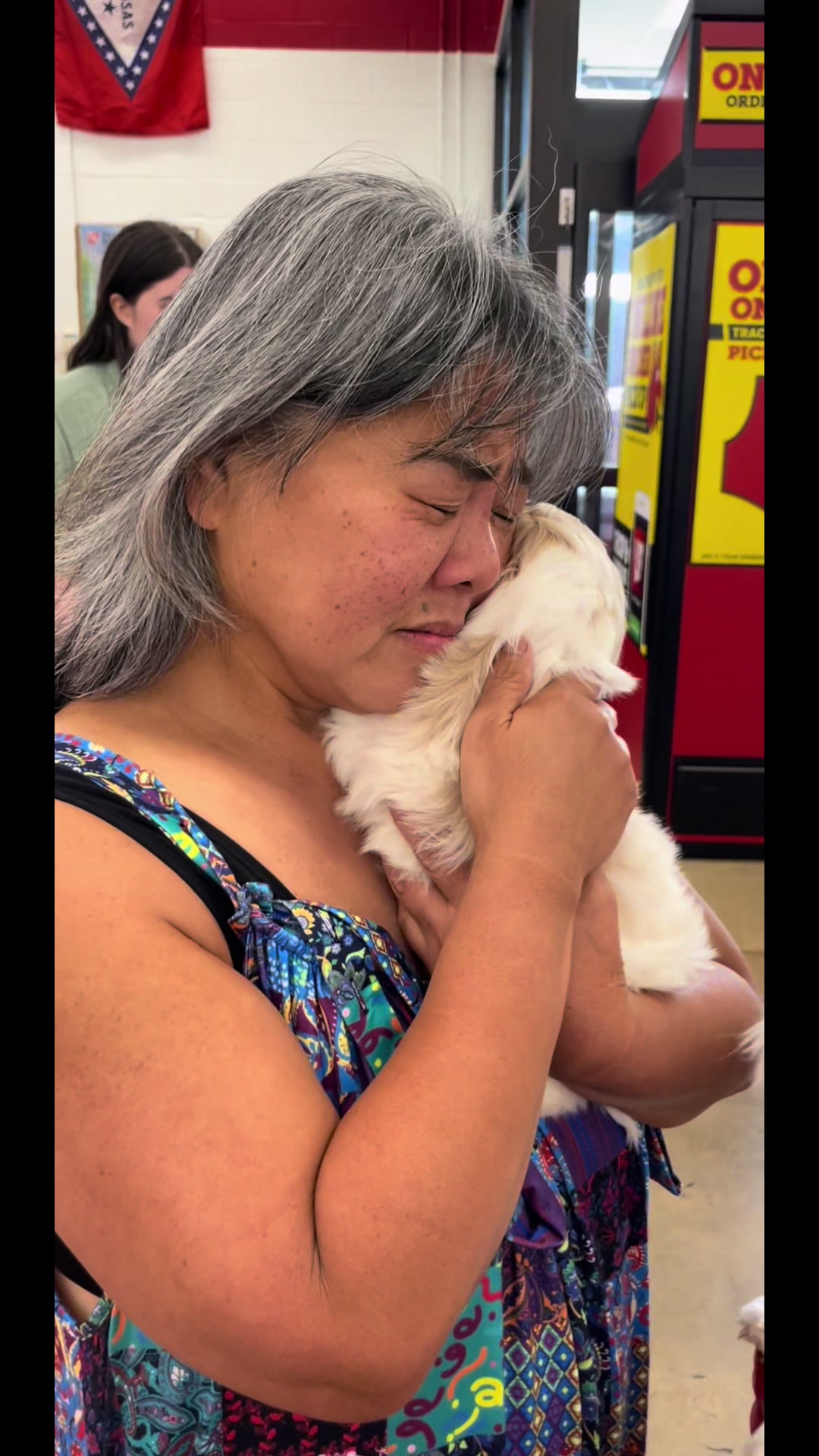 @Twilight Shih Tzu