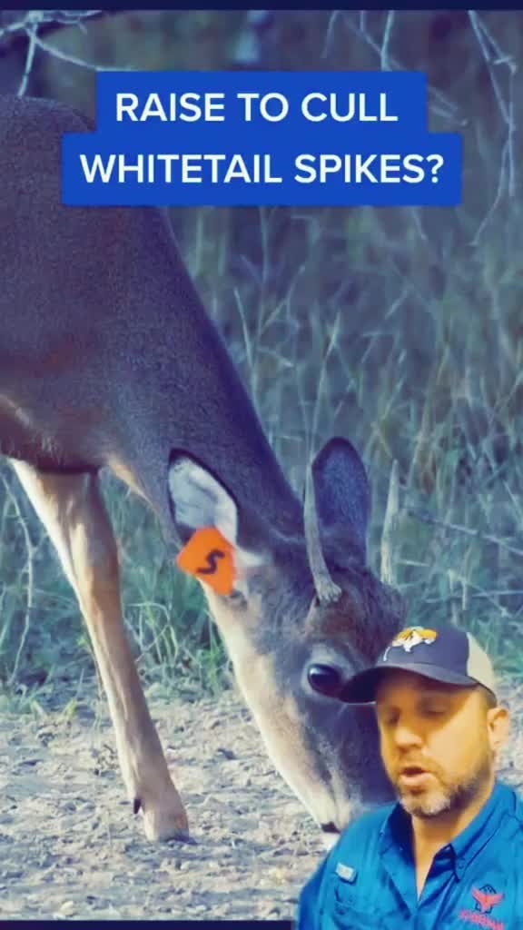 @Devil Dog Outdoors
