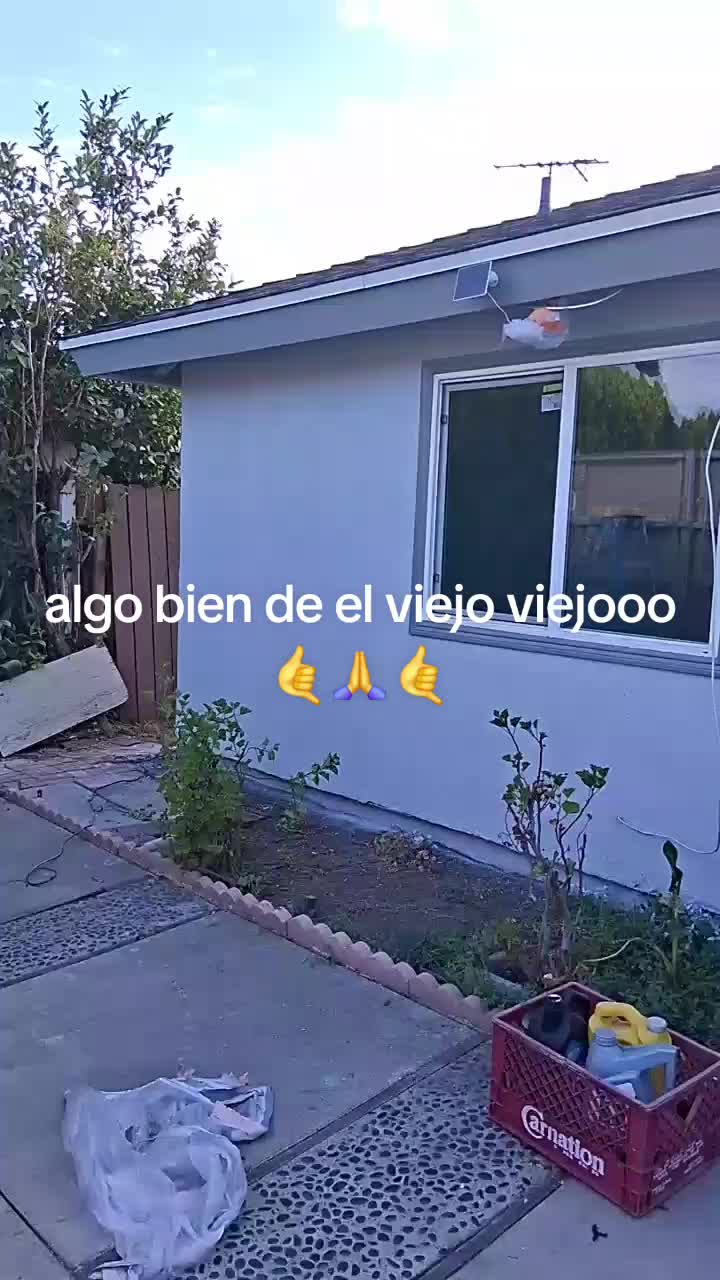 @came salas