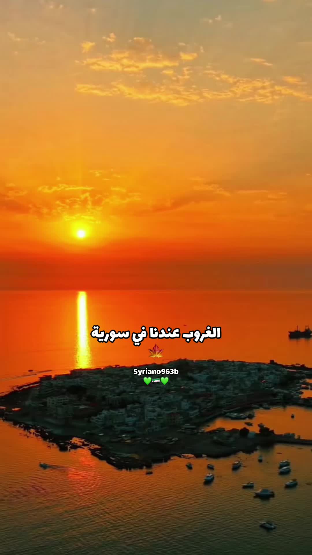 @Syriano/سريانو🇸🇾🦅