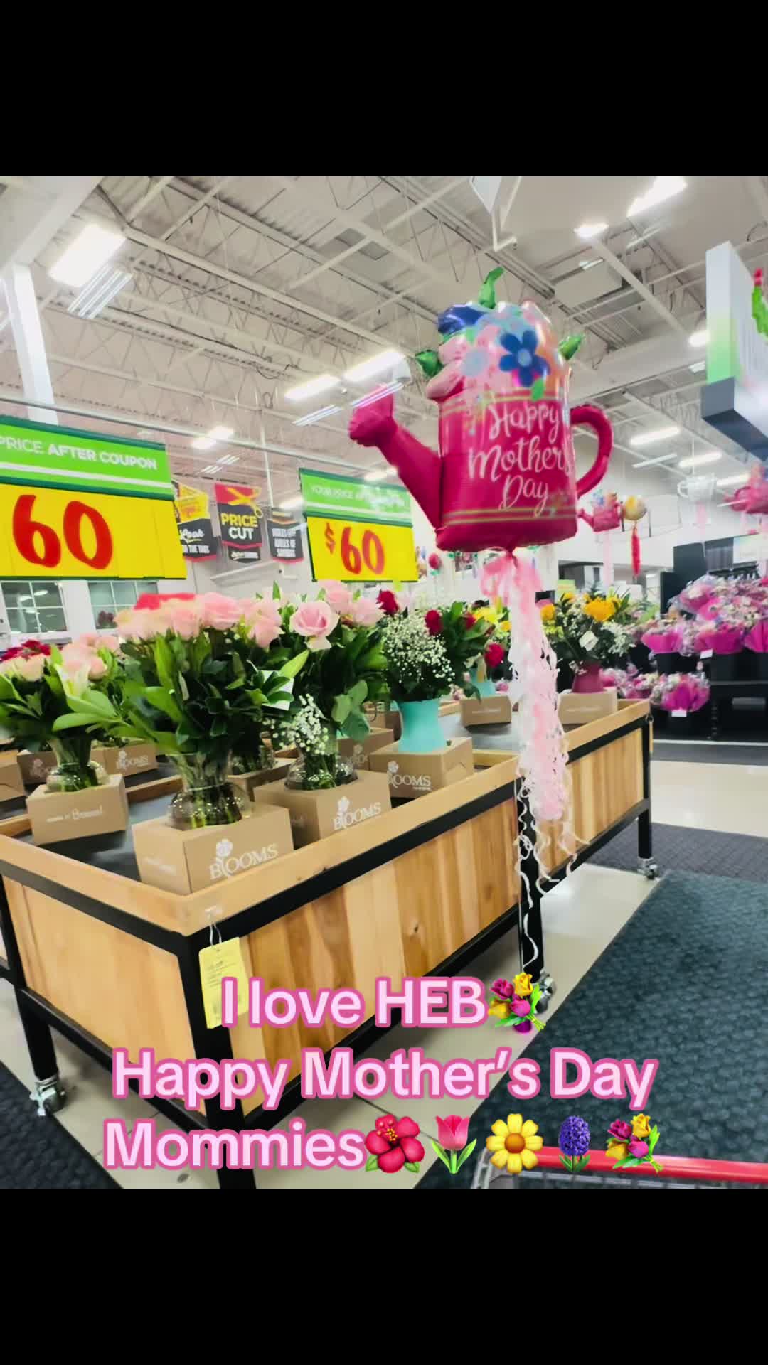 @katiekelleydetmer