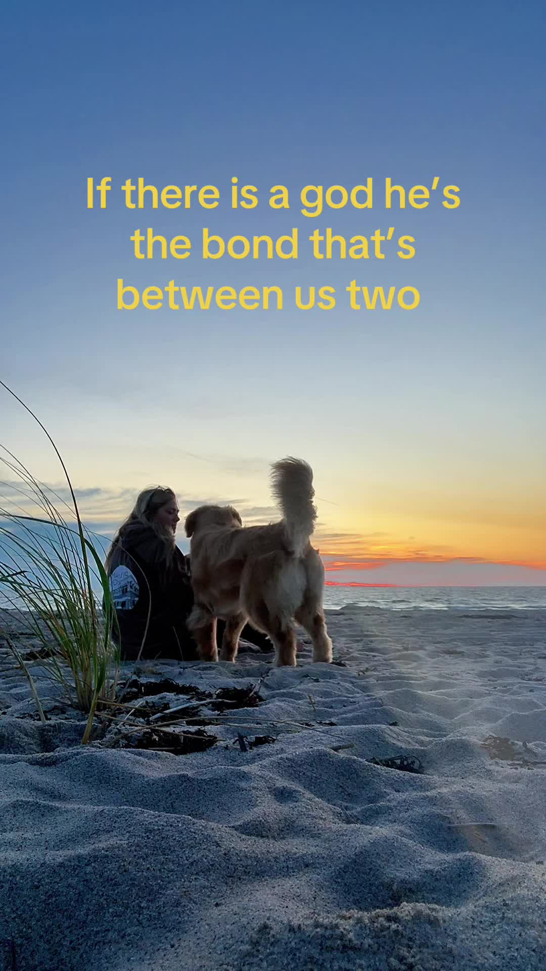 @Winter the Golden