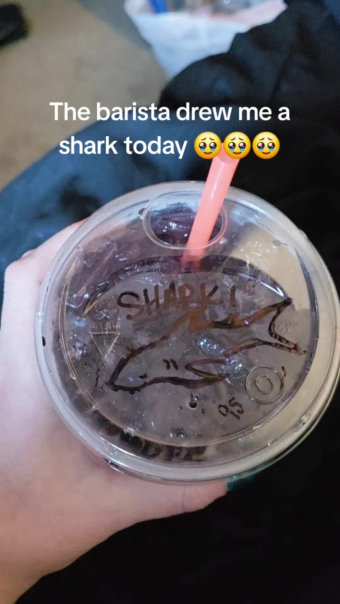 @CauseBoxTurtles🆘️🇺🇲