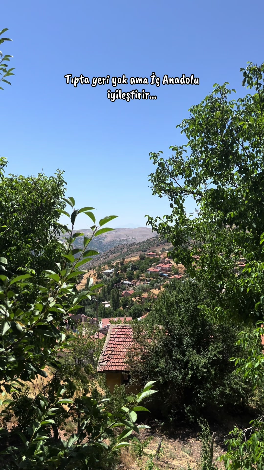 @𝒮𝐸𝒱𝒟𝐸ن𝒰𝑅