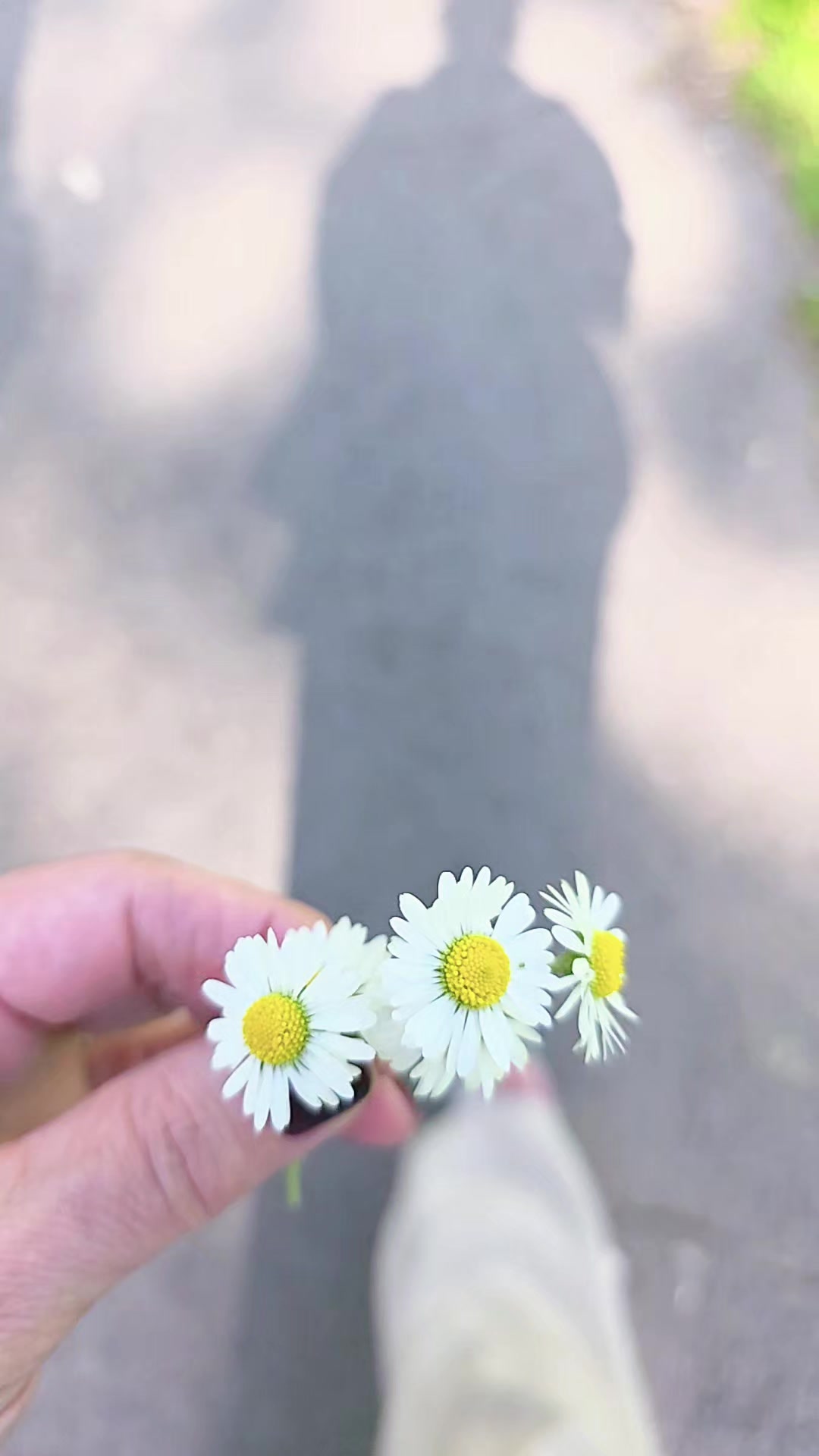 @Tülay.12.🇹🇷🇳🇱