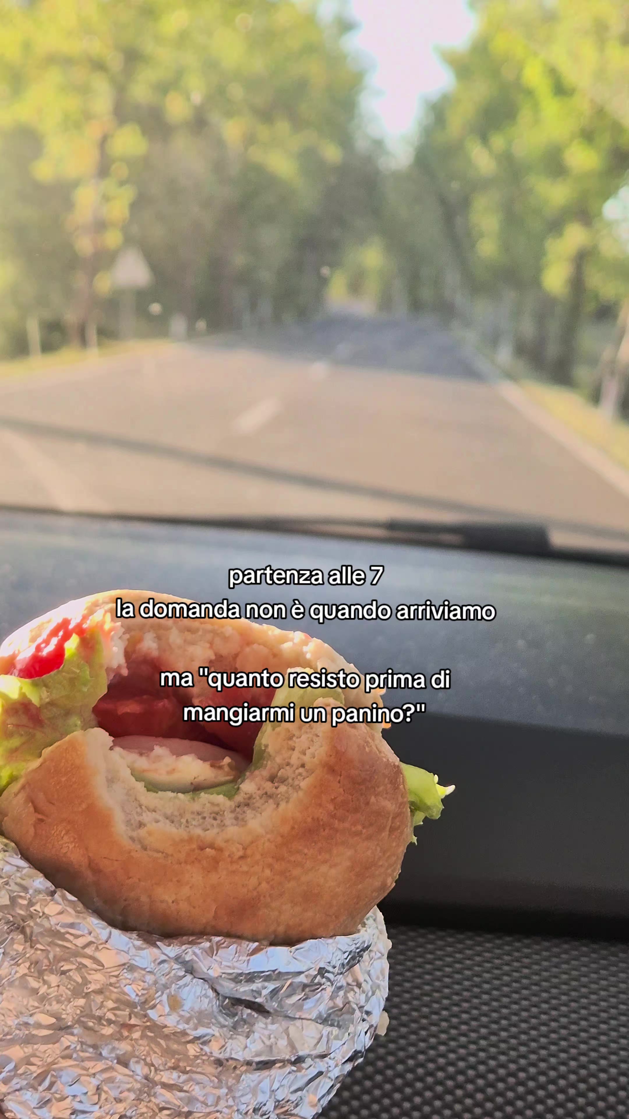 @Shizu