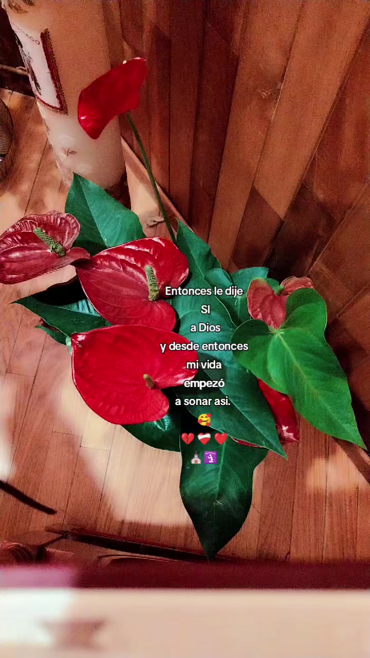 @Lïë