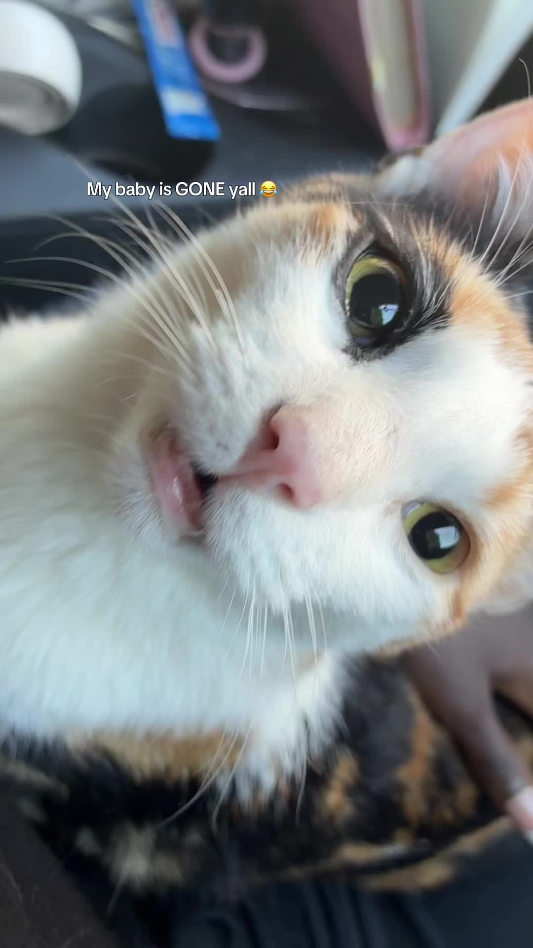 @LunaPuhtuna
