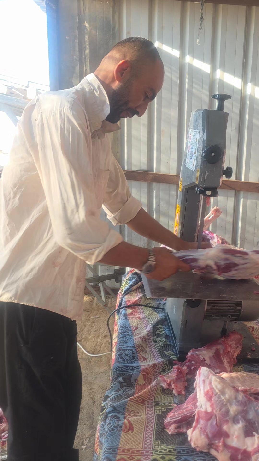 @رامي تبرنه