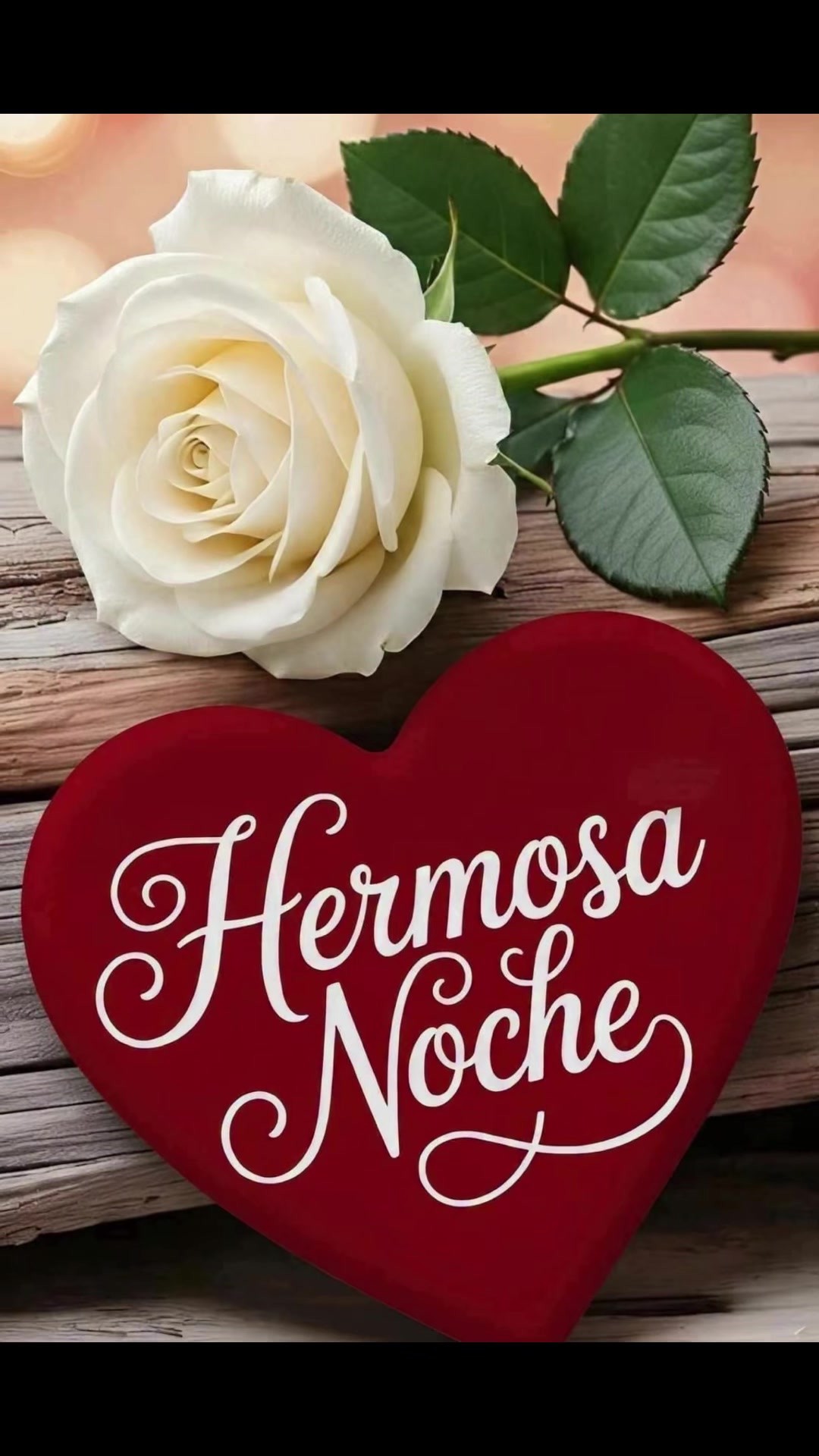@elvirasvg
