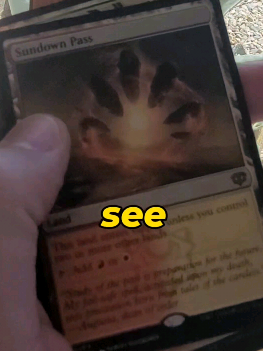@Cardboard Friends