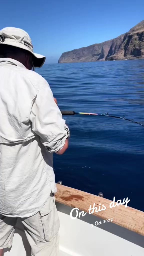 @Flipper II Madeira Fishing