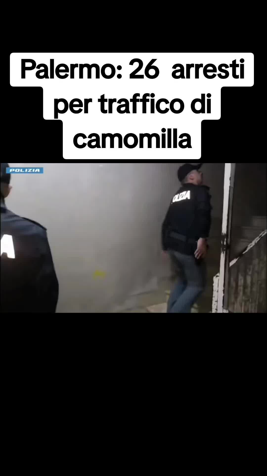 @squadra mobile