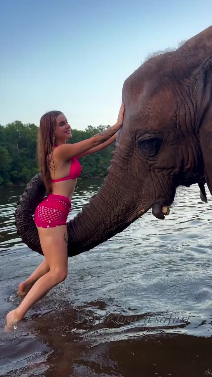 @Rio_lilly