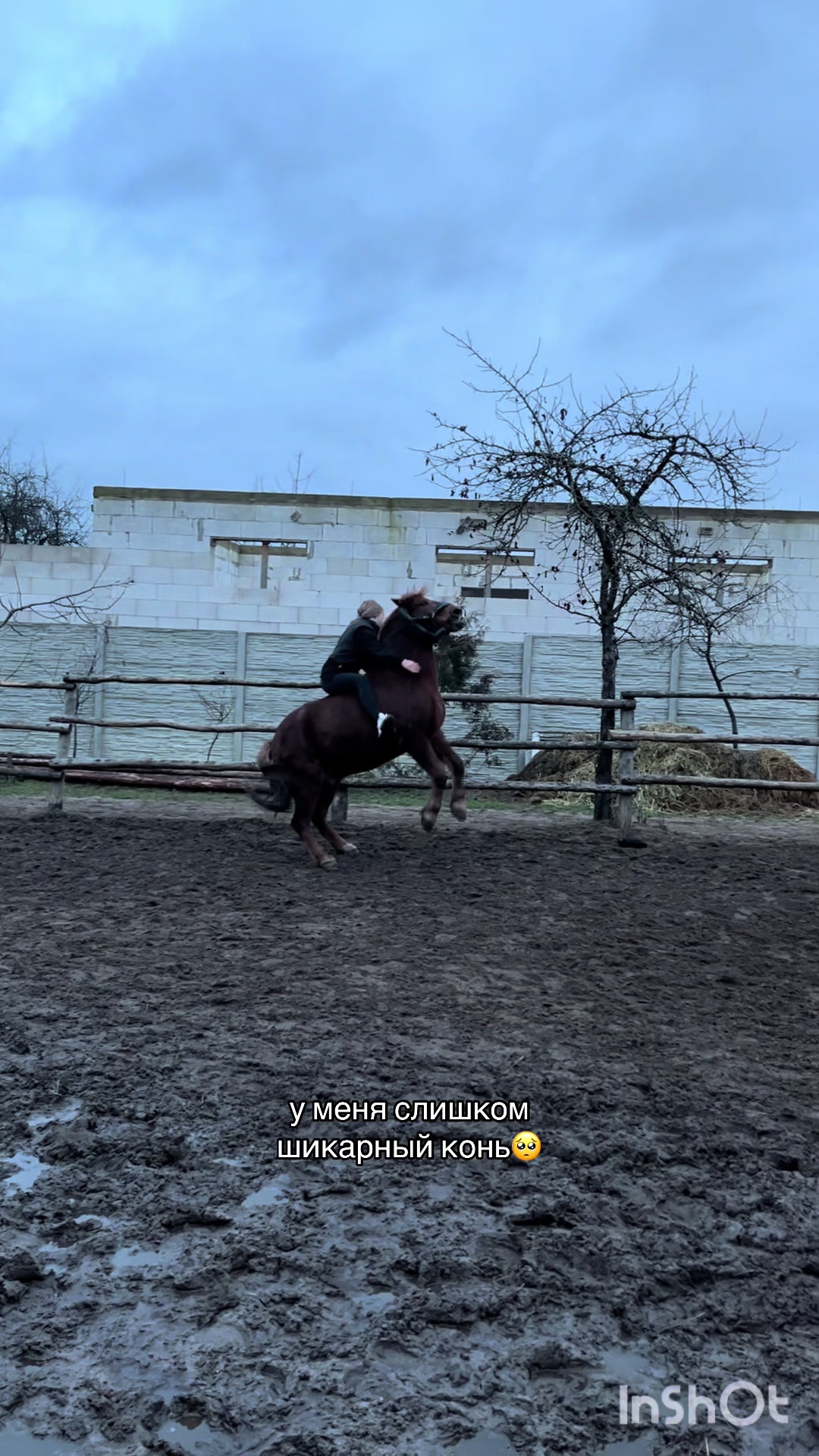@❗Брест❗ 🐎Конюшня 🐎