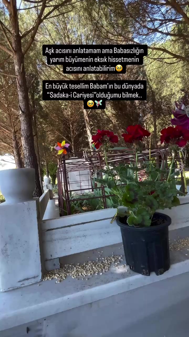 @meltemcekin22