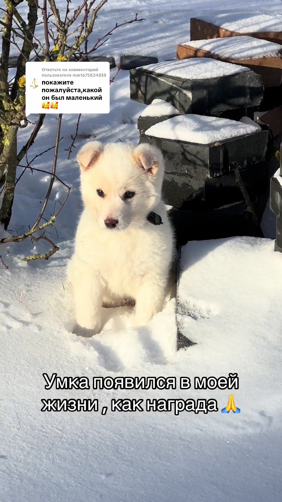 @Анастасия Чернявская.