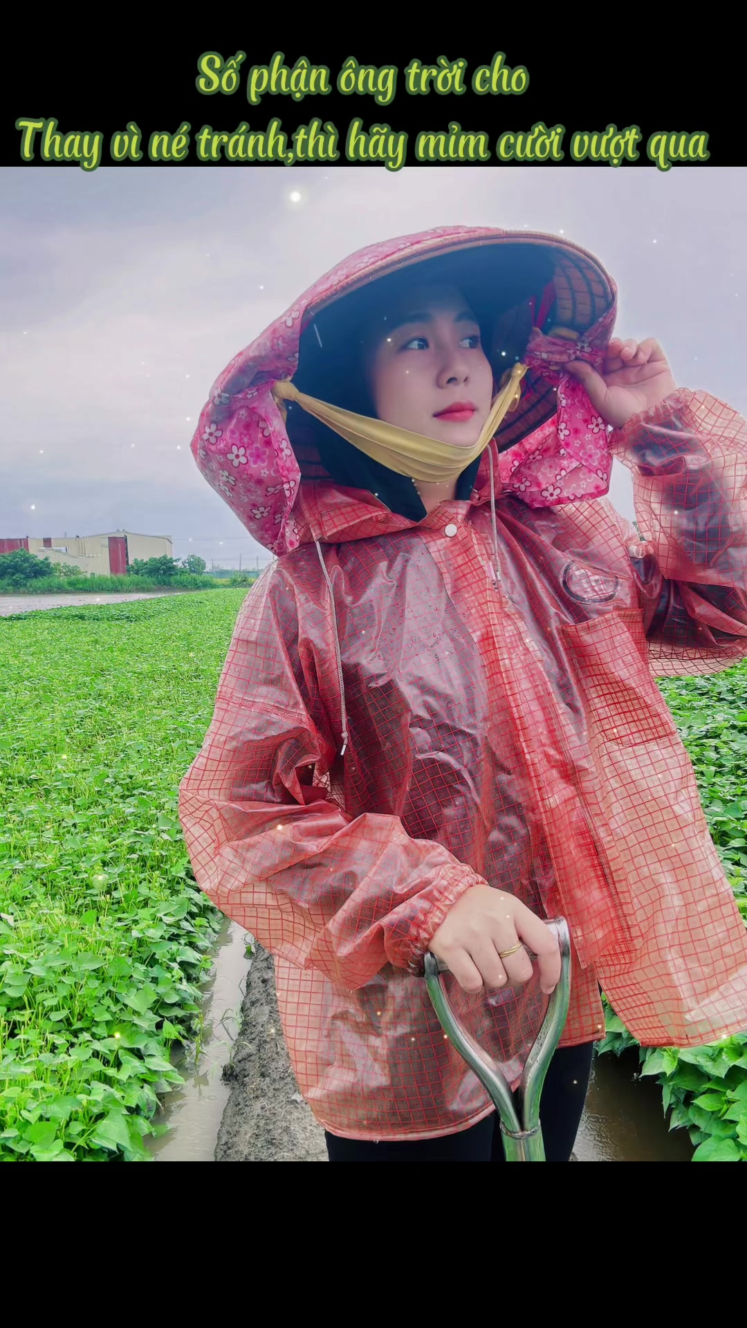 @28cp🇻🇳