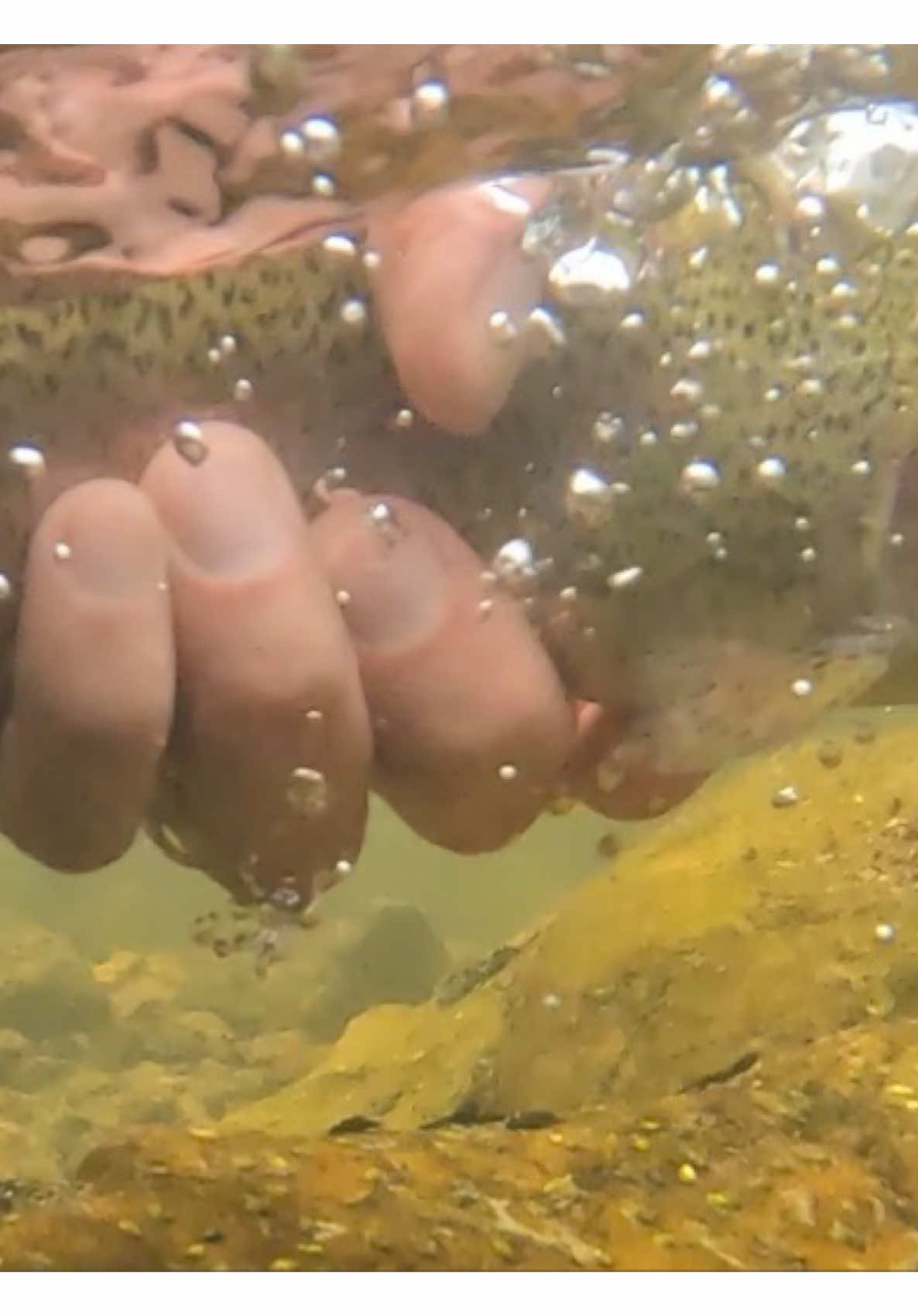 @FlyFishDelawhere