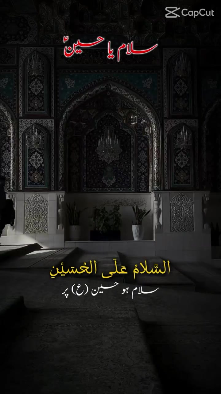 @Ali Naqvi