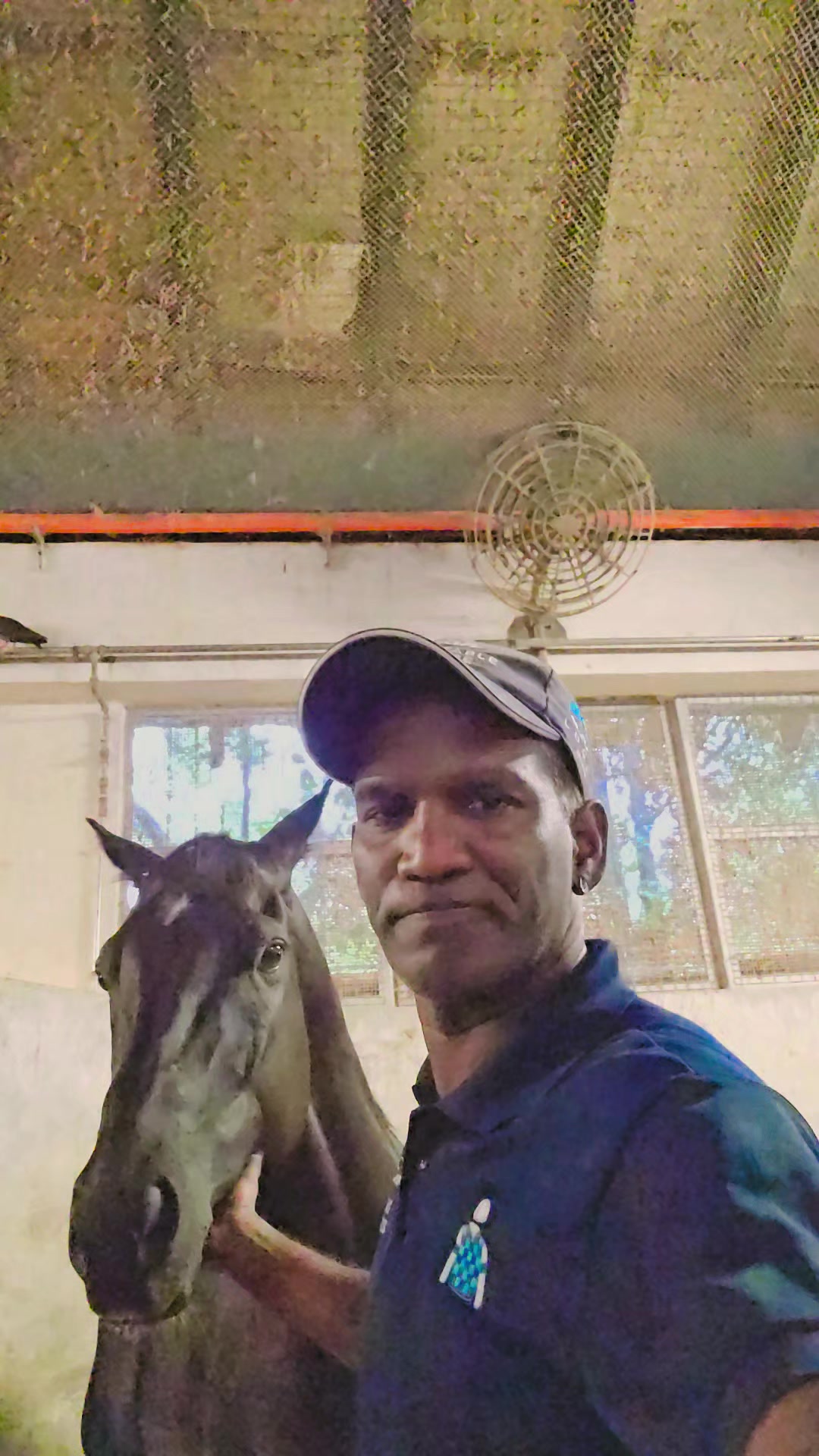 @kevin 🏆🏇🏇🏇🏆 🇸🇬🇲🇾🇳🇿