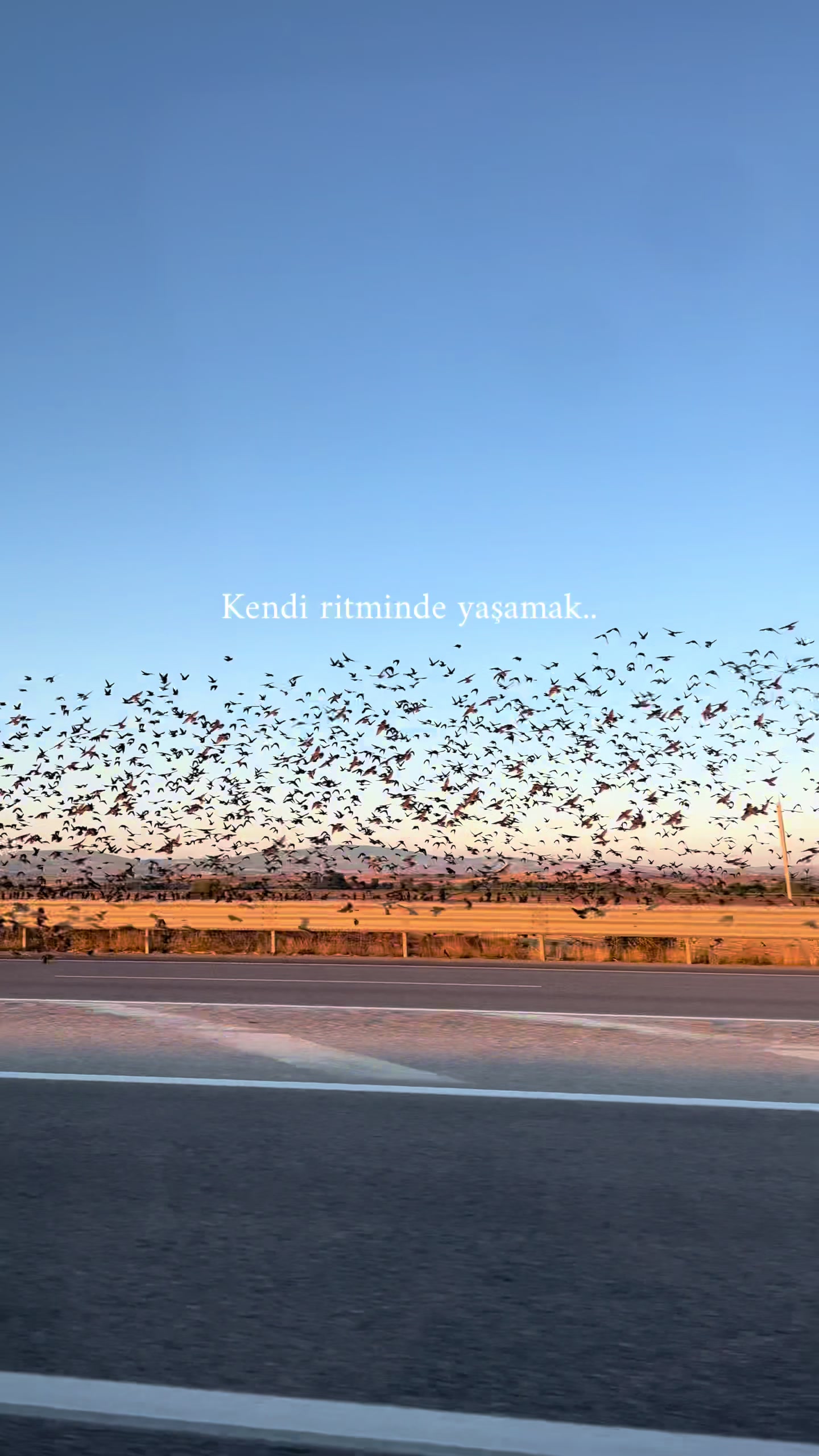 @sulesahnn