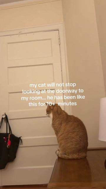 @claretimore