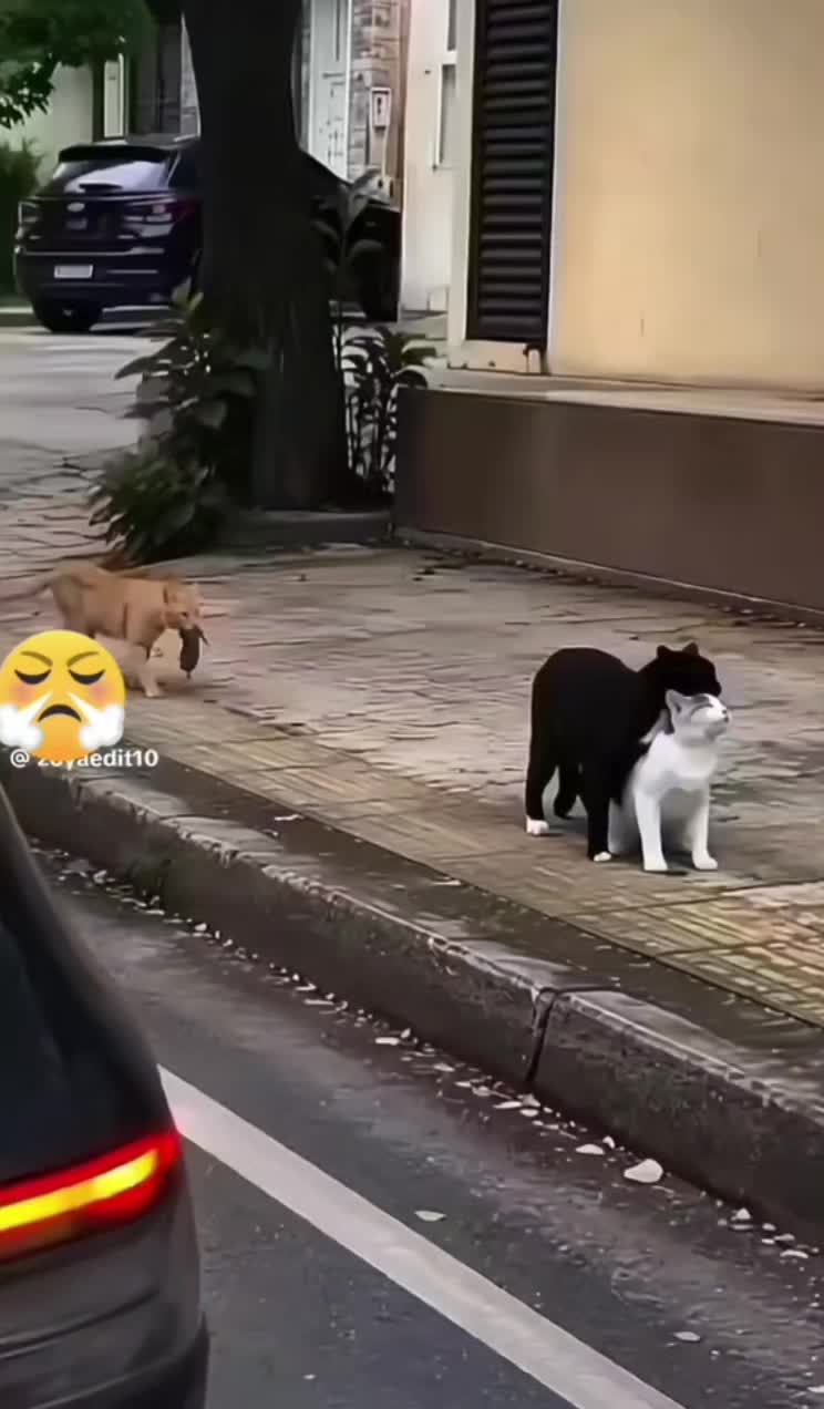 @GHOST777