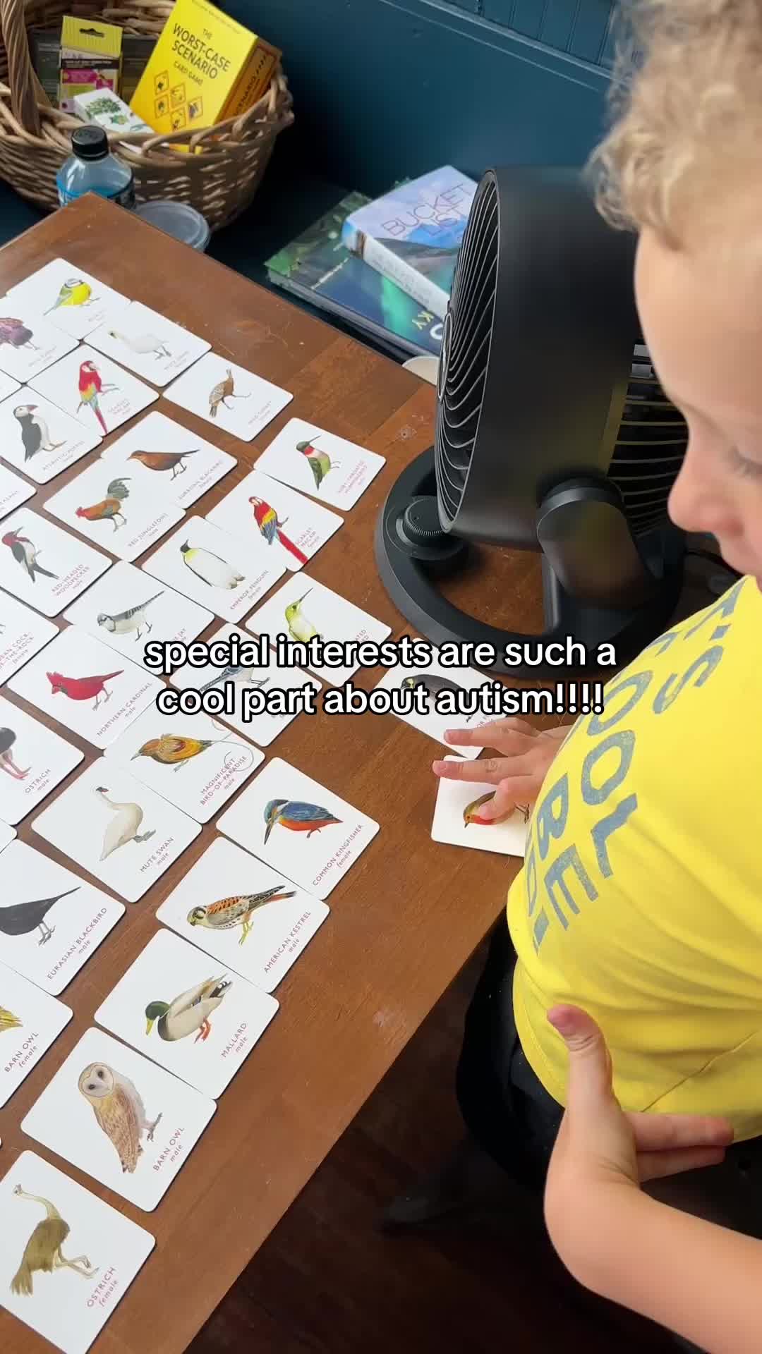 @Luci ☆ autism advocate & mom