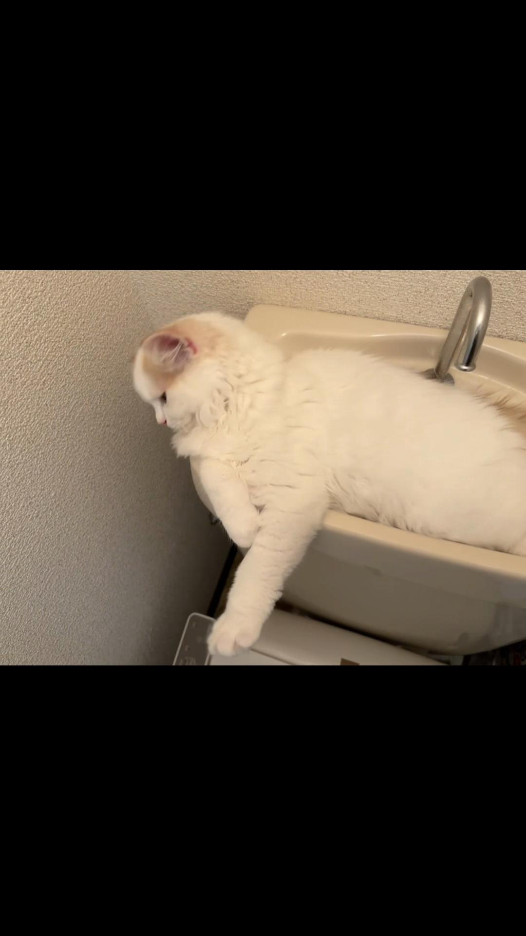 @Kiki
