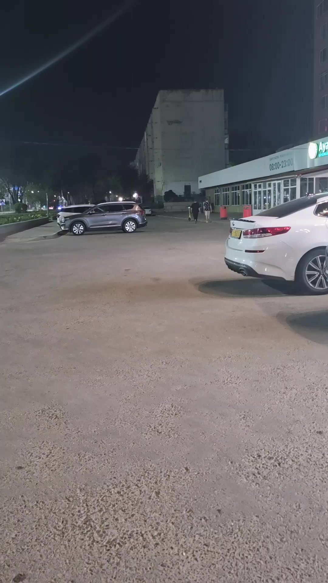 @лев