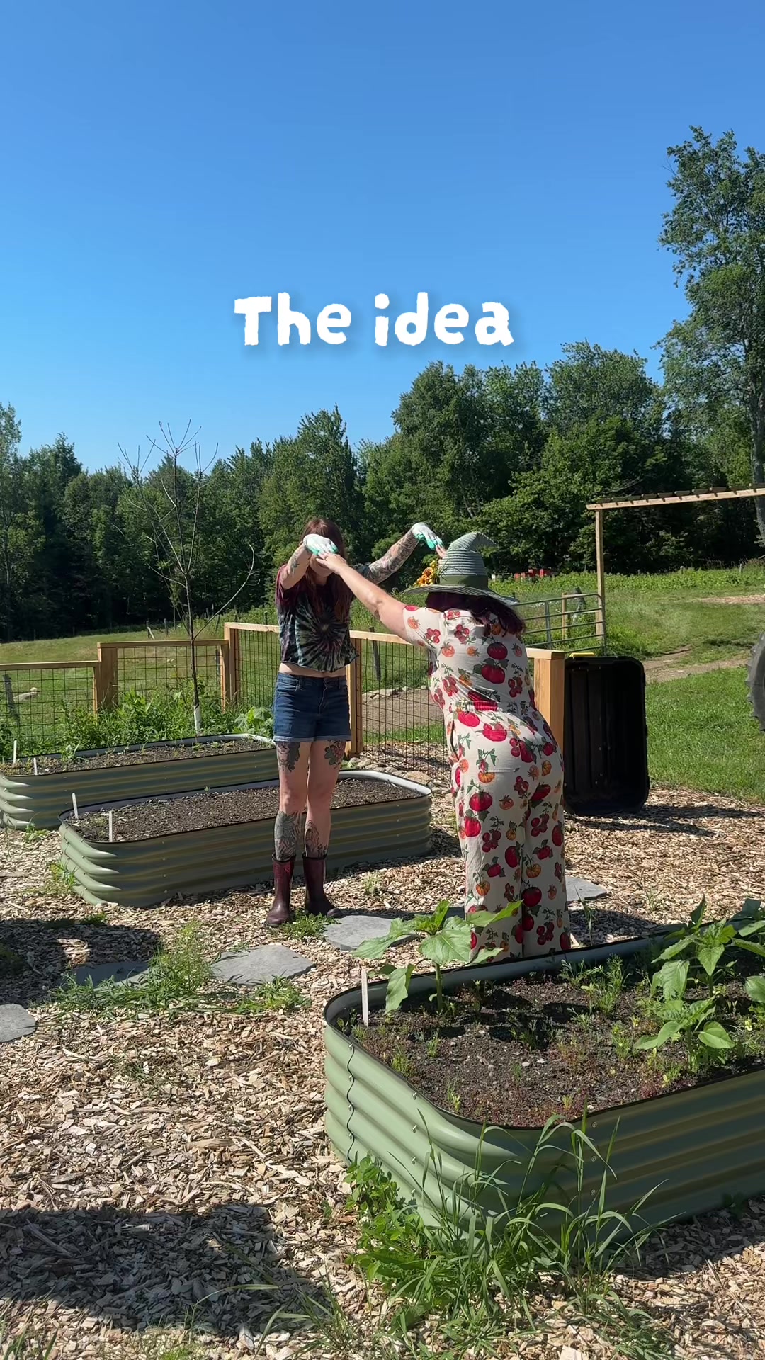 @Manica | zone 6a gardener