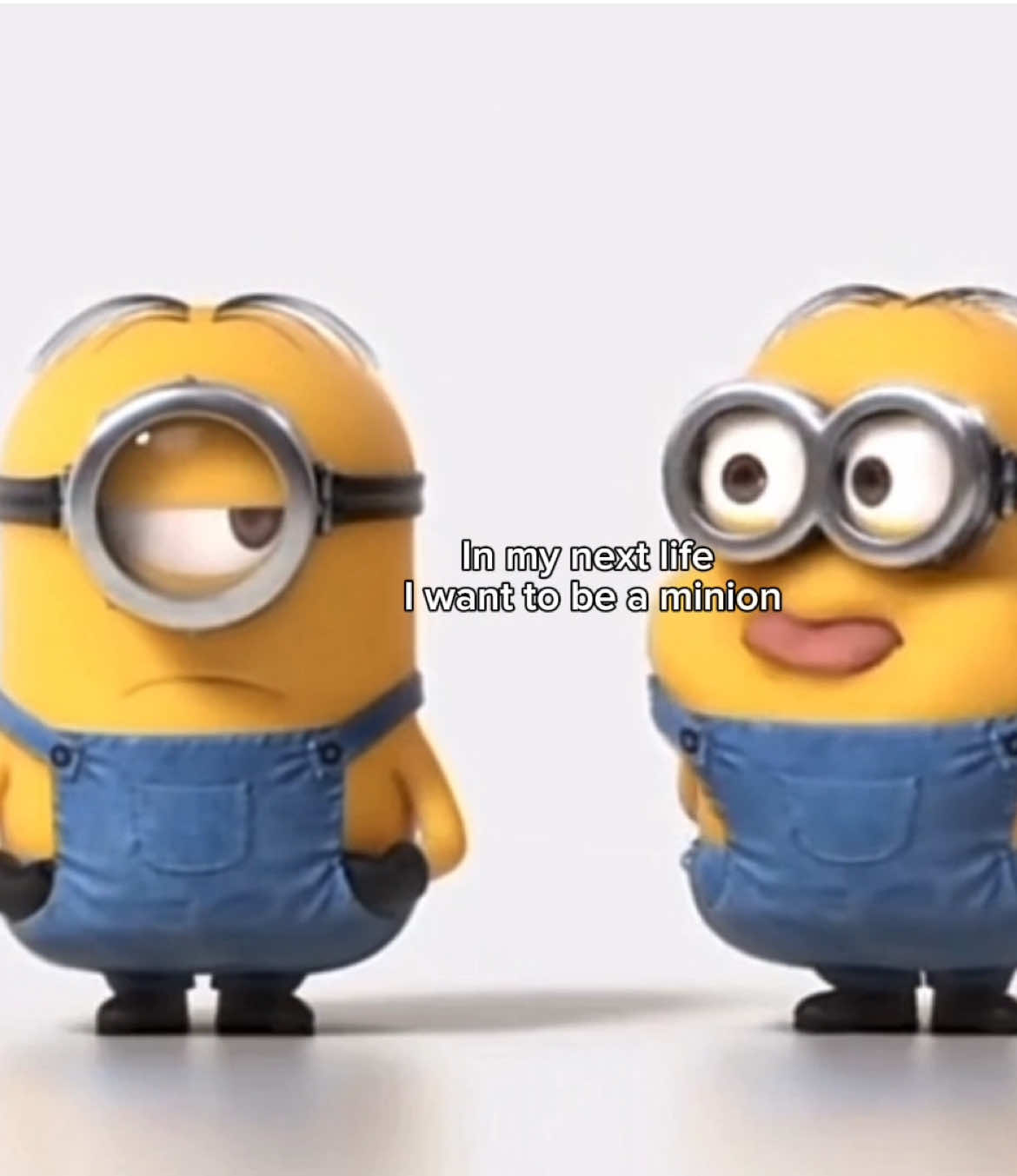 @.koka.