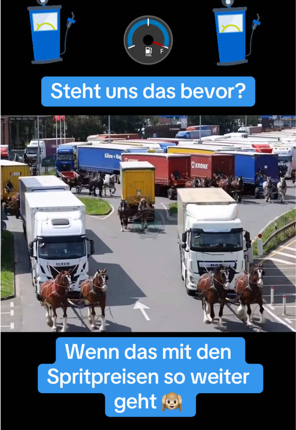 @Sven Hämisch AfD