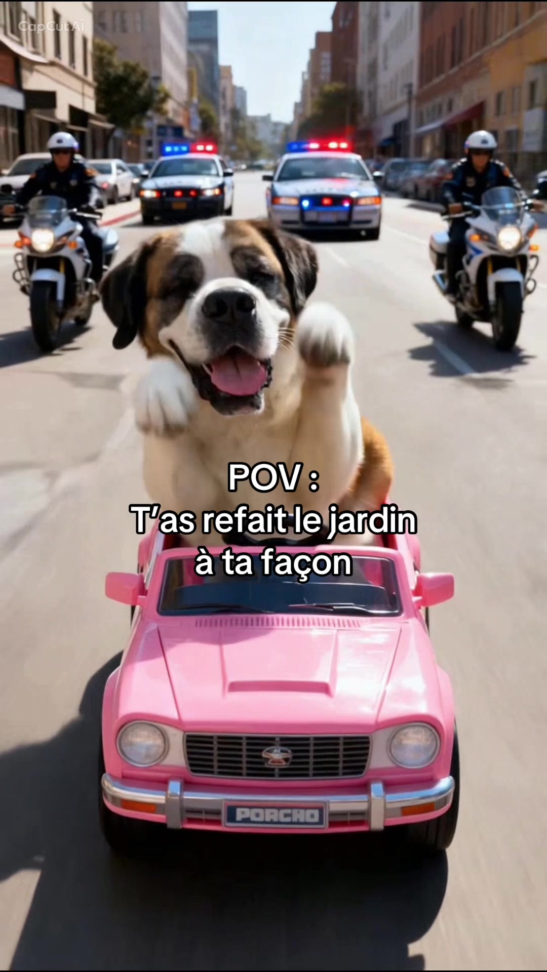@Xena le St Bernard