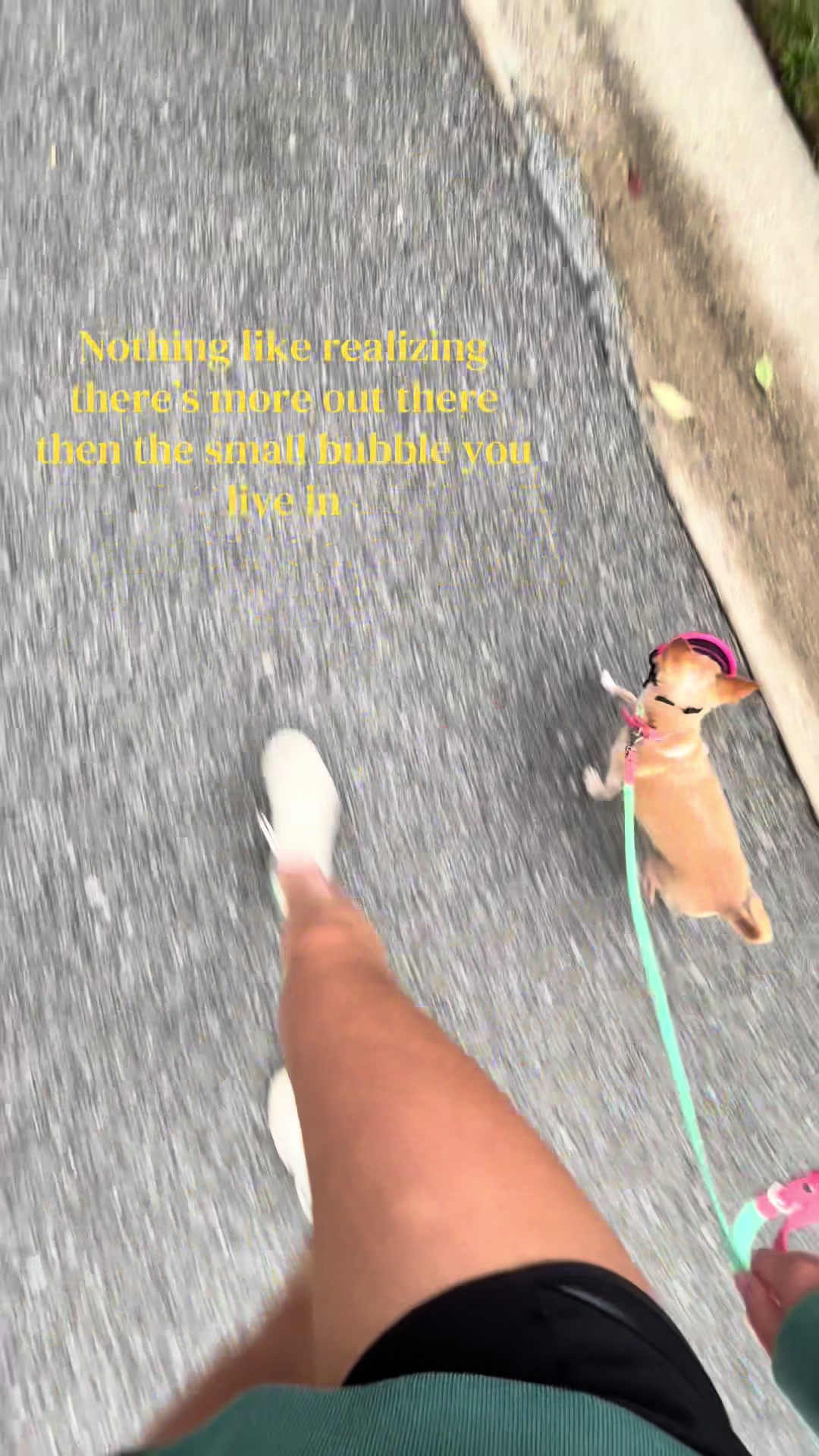 @Gidget/WagWild