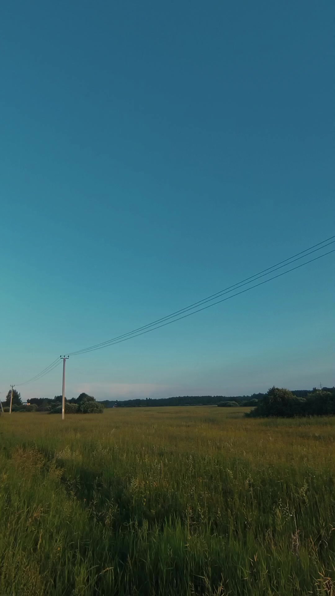 @тасамая