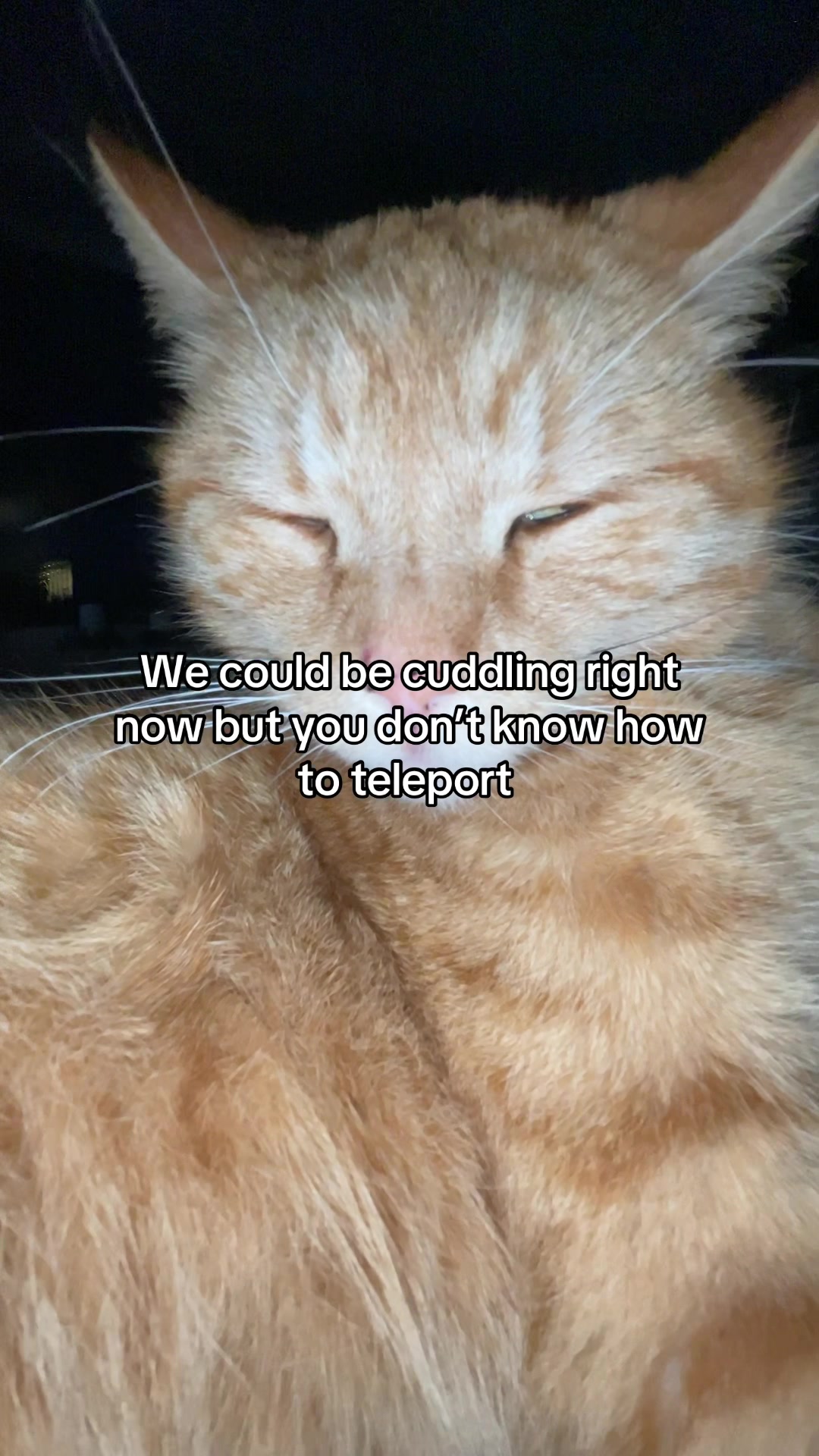 @Simba