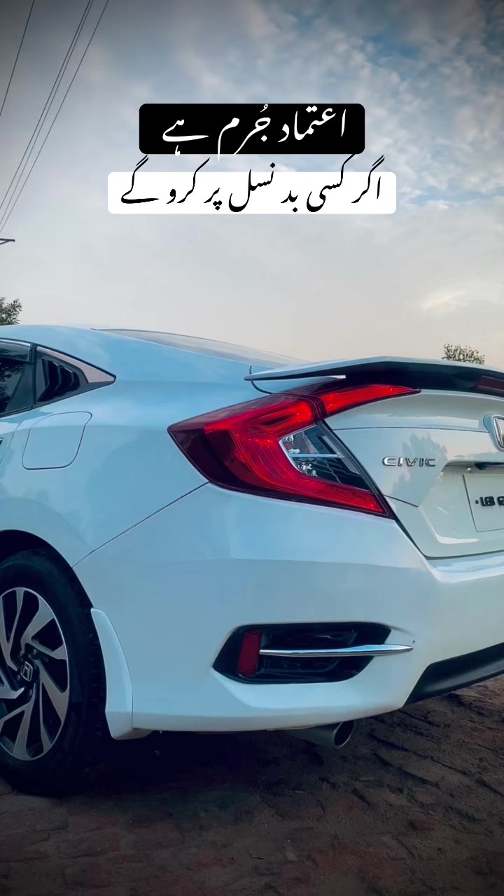 @محمد انس