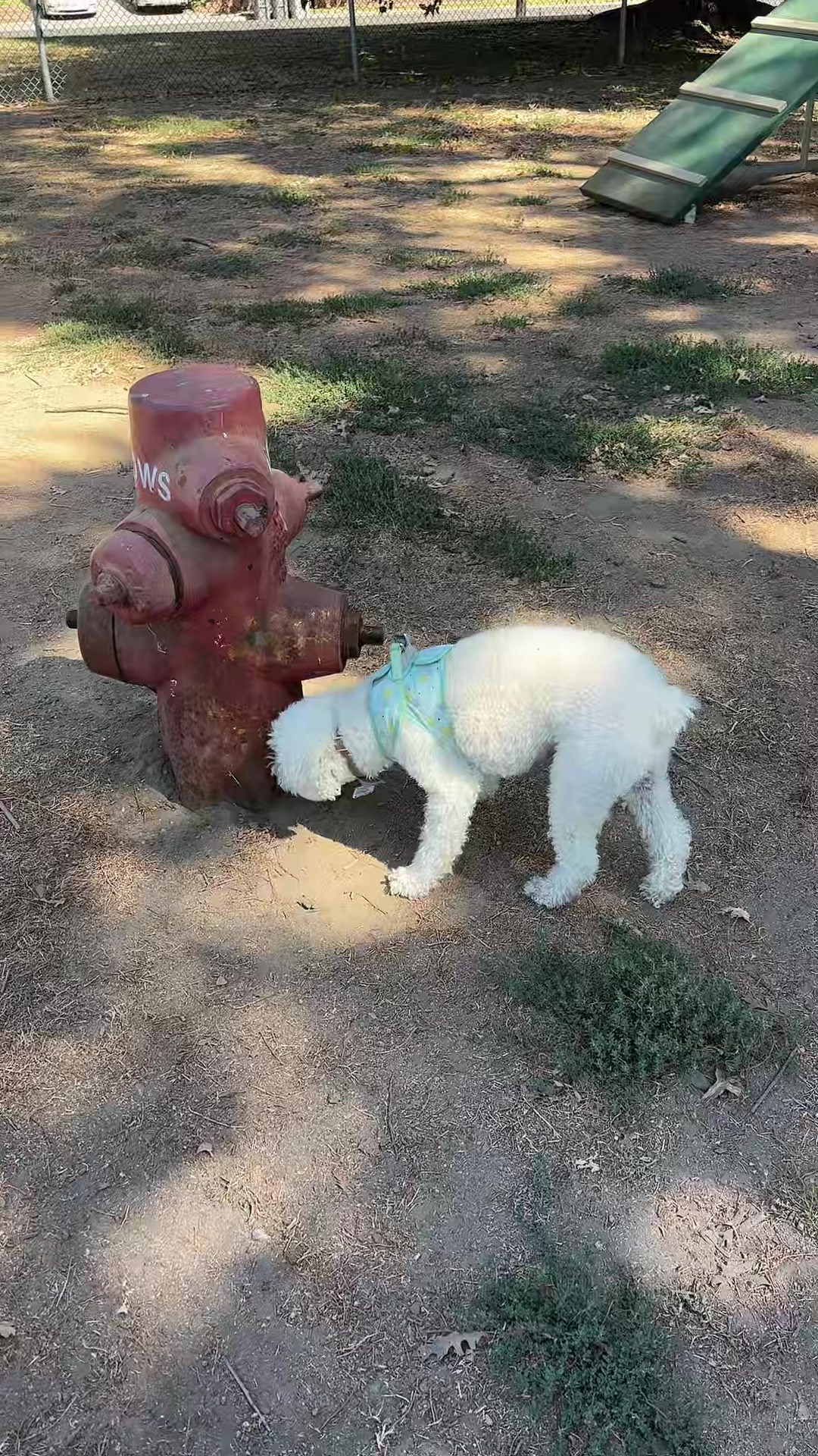 @preampetcare