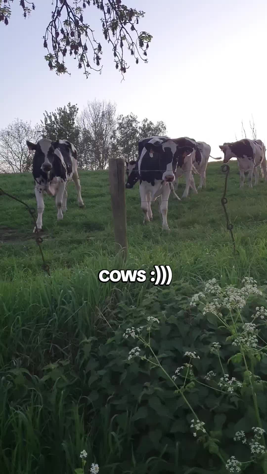 @leavemillalone