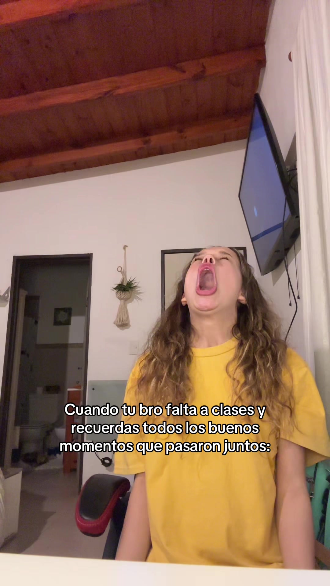 @caconeta