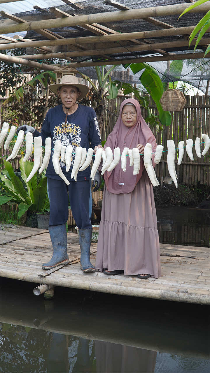 @Kampung Halaman Official