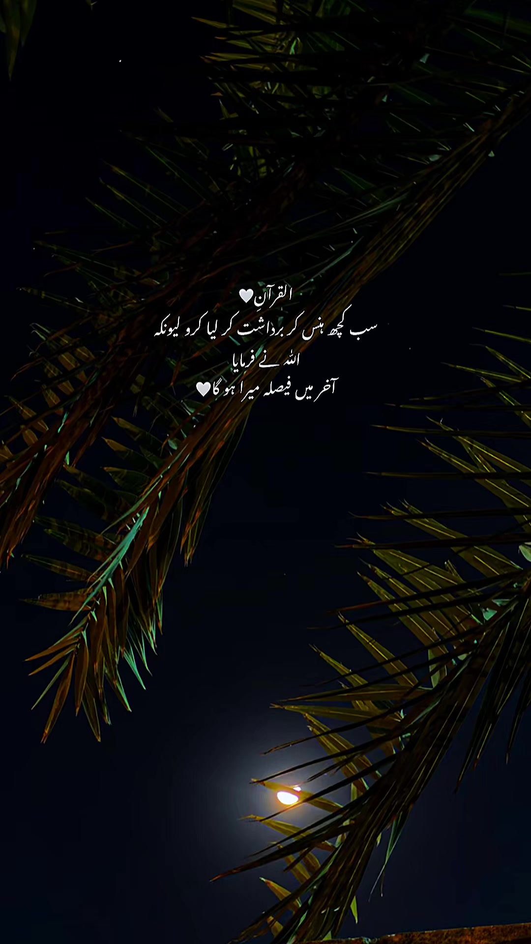 @Its_mehar_.0