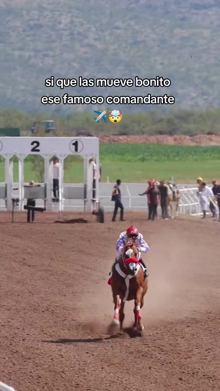 @carriles altos de jalisco🐎